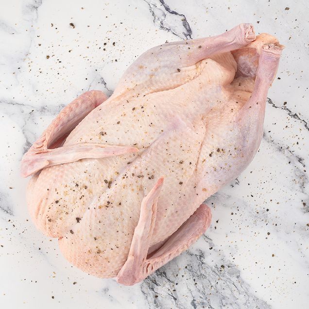 PATO INTEIRO SWIFT DE 2,2 KG A 2,9 KG