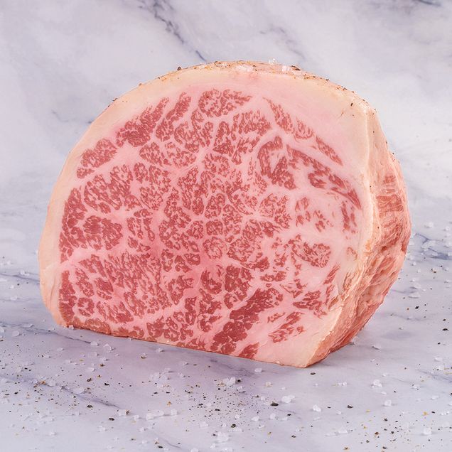 CUPIM SWIFT OURO DE 0,8KG A 1,8KG